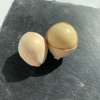 秋銀杏 藤九郎 / 【 4L 】 500グラム – うかい農園