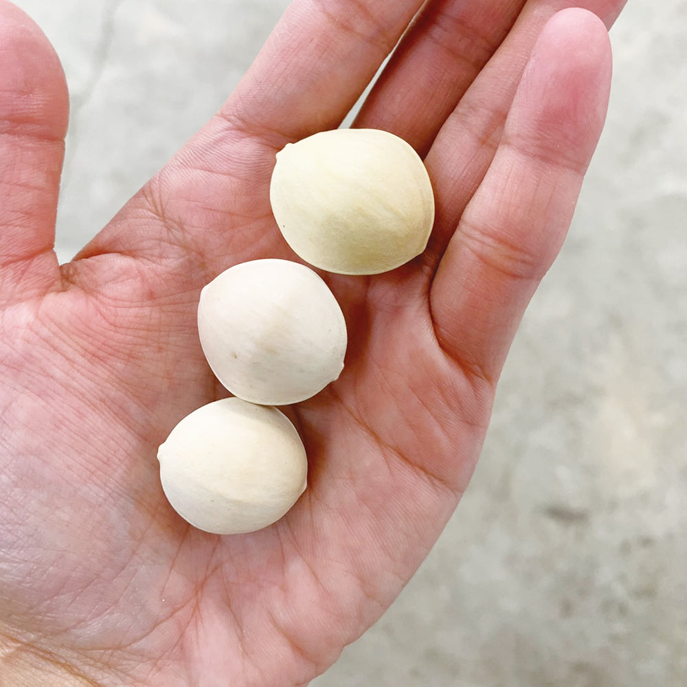 秋銀杏 藤九郎 / 【 L 】 300グラム – うかい農園