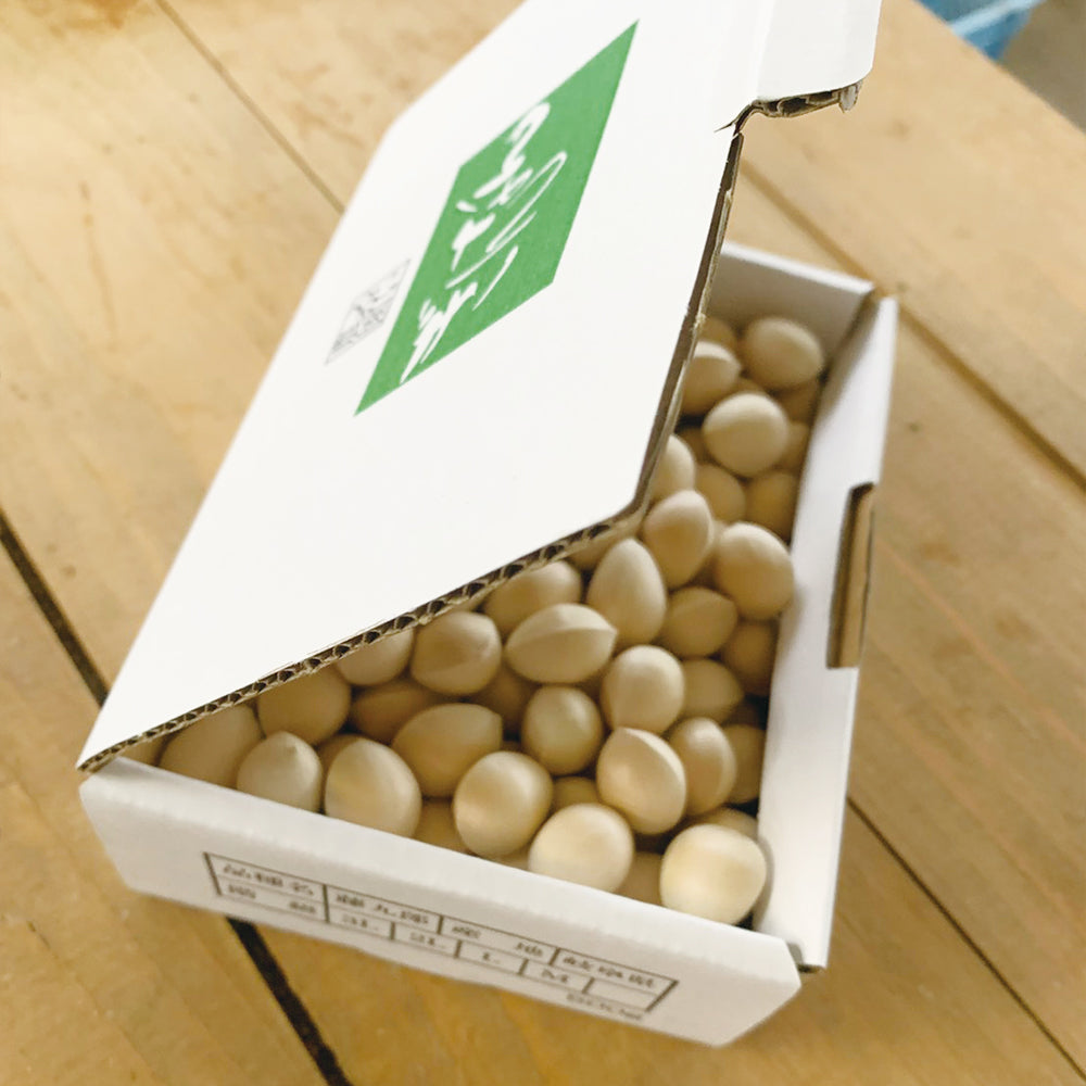 g3_b0b1a362-2911-460d-b8cf-