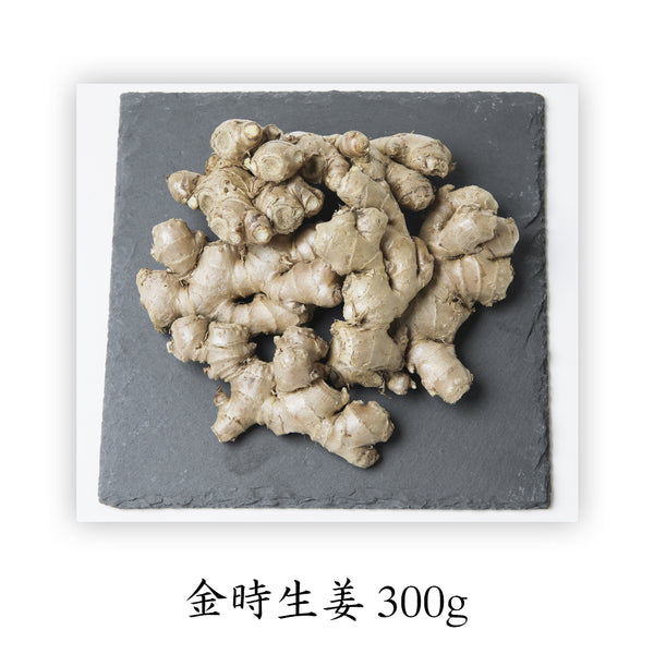 300_600x600_crop_center.jpg?v=