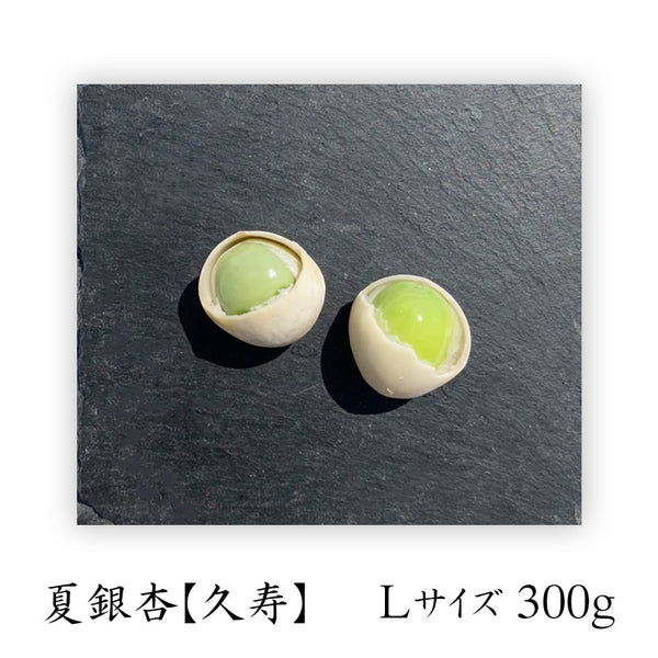 夏銀杏 久寿 / 【 L 】300グラム
