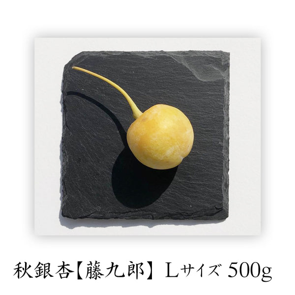 秋銀杏 藤九郎 / 【 L 】 500グラム – うかい農園